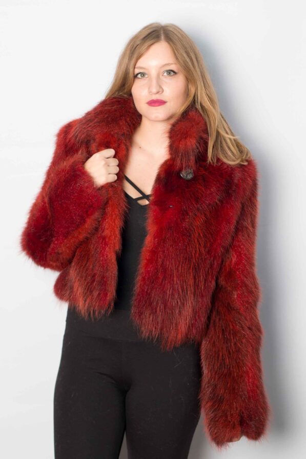 Raccoon red coat