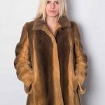 Beever orange brown coat