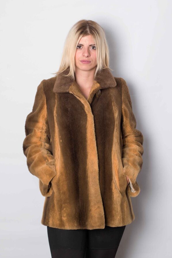 Beever orange brown coat